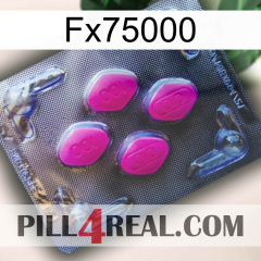 Fx75000 02